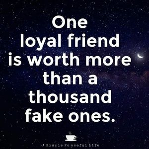 Meet your Posher, Natahile